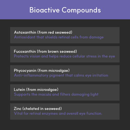Eye + | Improve eye health in dogs - Seaweed For Dogs