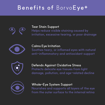 Eye + | Improve eye health in dogs - Seaweed For Dogs