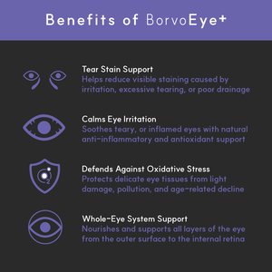 Eye + | Improve eye health in dogs - Seaweed For Dogs
