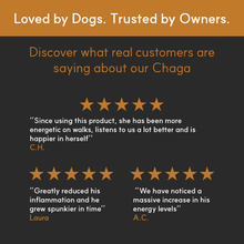 Load image into Gallery viewer, Finland - Grown Birch Tree Chaga Mushroom Extract for Dogs - Ultrasound Assisted Extraction for Enhanced Potency - Seaweed For Dogs