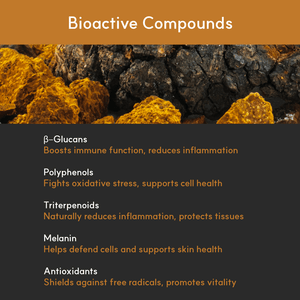 Finland - Grown Birch Tree Chaga Mushroom Extract for Dogs - Ultrasound Assisted Extraction for Enhanced Potency - Seaweed For Dogs