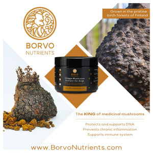 Finland-Grown Birch Tree Chaga Mushroom Extract for Dogs - Ultrasound Assisted Extraction for Enhanced Potency - Seaweed For Dogs