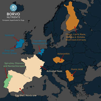 Infographic showing the source country of Borvo Nutrients products