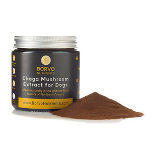 Finland-Grown Birch Tree Chaga Mushroom Extract for Dogs - Ultrasound Assisted for Enhanced Potency - Seaweed For Dogs