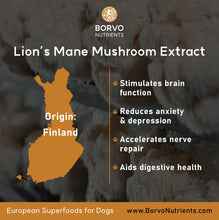 Cargar imagen en el visor de la galería, Finland-Grown Lion&#39;s Mane Mushroom Powder for Dogs - Seaweed For Dogs
