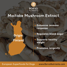 Cargar imagen en el visor de la galería, Finland-Grown Maitake Mushroom Powder for Dogs - Seaweed For Dogs