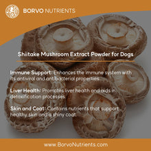 Afbeelding in Gallery-weergave laden, Finland-Grown Shiitake Mushroom Powder for Dogs - Seaweed For Dogs