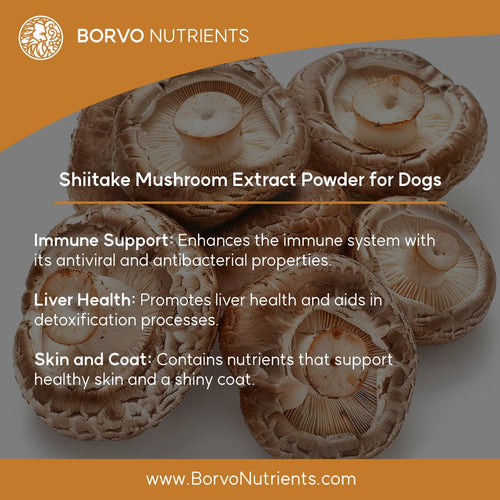 Finland-Grown Shiitake Mushroom Powder for Dogs - Seaweed For Dogs