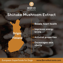 Carica l&#39;immagine nel visualizzatore di Gallery, Finland-Grown Shiitake Mushroom Powder for Dogs - Seaweed For Dogs