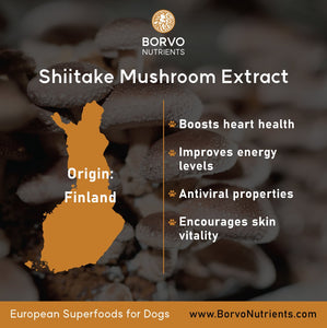 Finland-Grown Shiitake Mushroom Powder for Dogs - Seaweed For Dogs