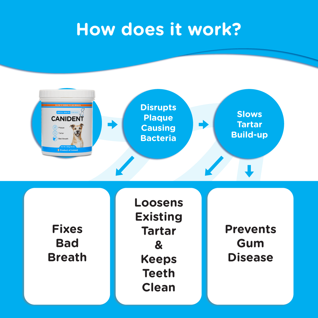 Canident Dog Dental Powder – Natural Seaweed Plaque Remover for Dogs - Seaweed For Dogs