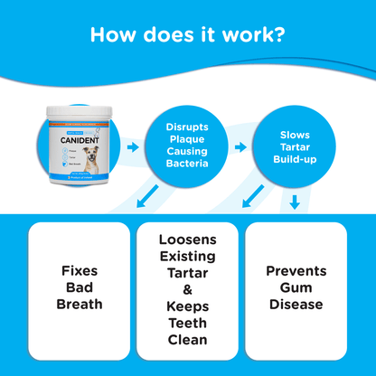 Canident Dog Dental Powder – Natural Seaweed Plaque Remover for Dogs - Seaweed For Dogs