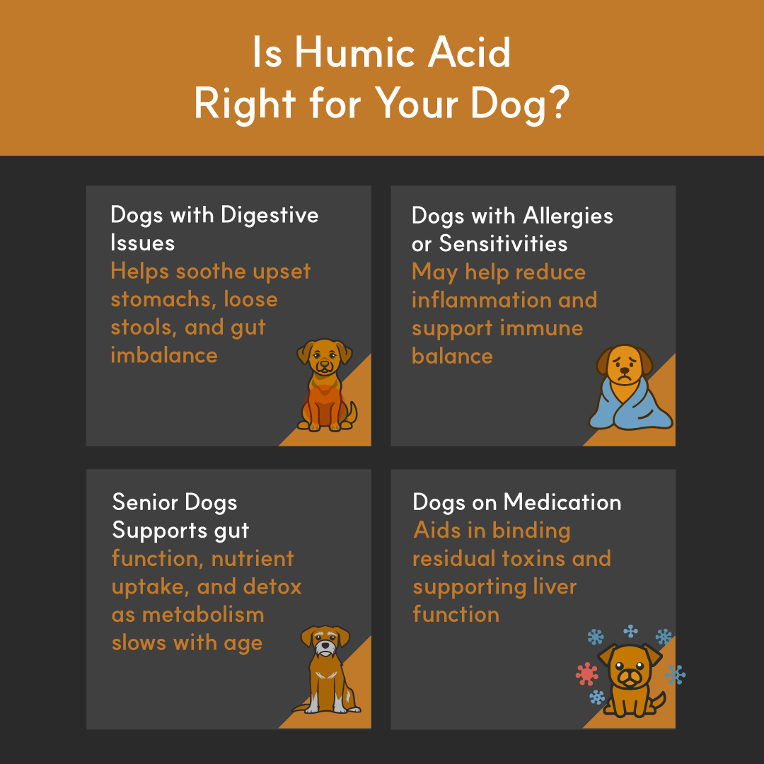 Humic Acid for Dogs | Borvo Nutrients - Seaweed For Dogs