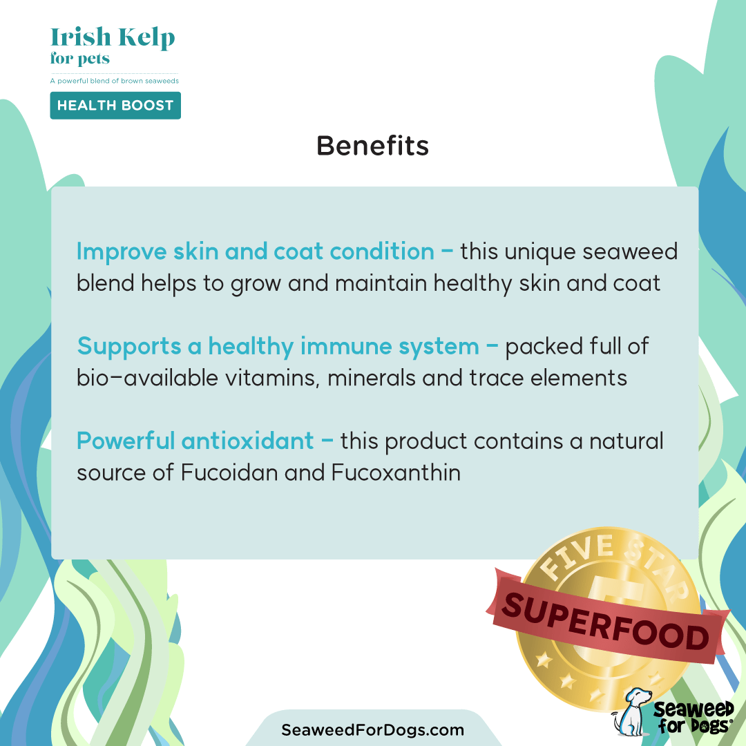 Irish Kelp for Pets | Blend of three Kelp for Dogs from Ireland - Seaweed For Dogs