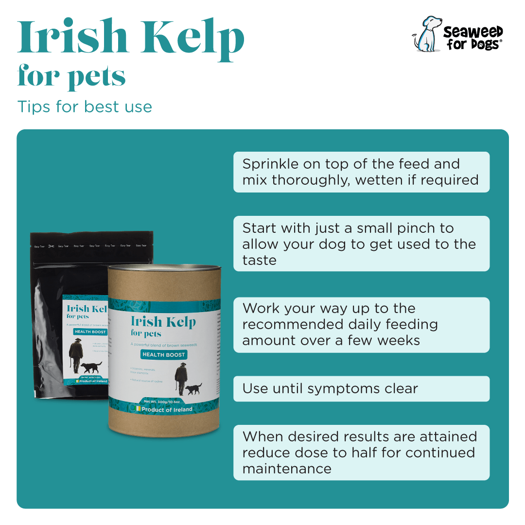 Irish Kelp for Pets | Three Brown Seaweeds from the Coast of Ireland - Seaweed For Dogs