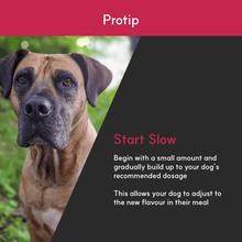 Load image into Gallery viewer, Joint + | Superior Joint Health Support for Dogs - Seaweed For Dogs