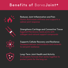 Load image into Gallery viewer, Joint + | Superior Joint Health Support for Dogs - Seaweed For Dogs