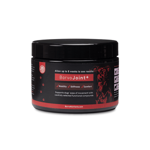Joint + | Superior Joint Health Support for Dogs - Seaweed For Dogs