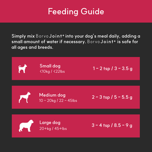Joint + | Superior Joint Health Support for Dogs - Seaweed For Dogs
