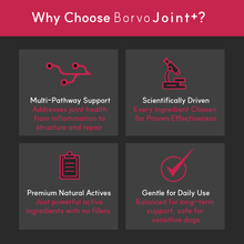 Load image into Gallery viewer, Joint + | Superior Joint Health Support for Dogs - Seaweed For Dogs