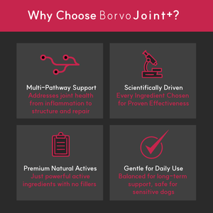 Joint + | Superior Joint Health Support for Dogs - Seaweed For Dogs