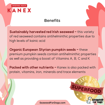 Kanex | Maintain Intestinal Hygiene in Dogs - Seaweed For Dogs