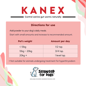 Kanex | Maintain Intestinal Hygiene in Dogs - Seaweed For Dogs