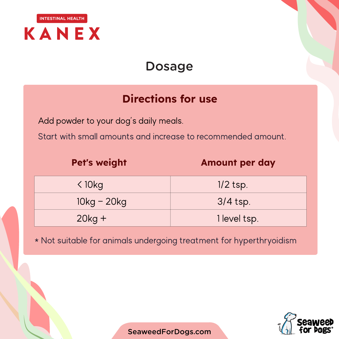 Kanex | Maintain Intestinal Hygiene in Dogs - Seaweed For Dogs