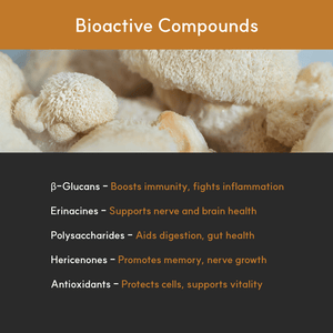 List of Lion’s Mane bioactive compounds and benefits: beta-glucans, erinacines, polysaccharides, hericenones, and antioxidants