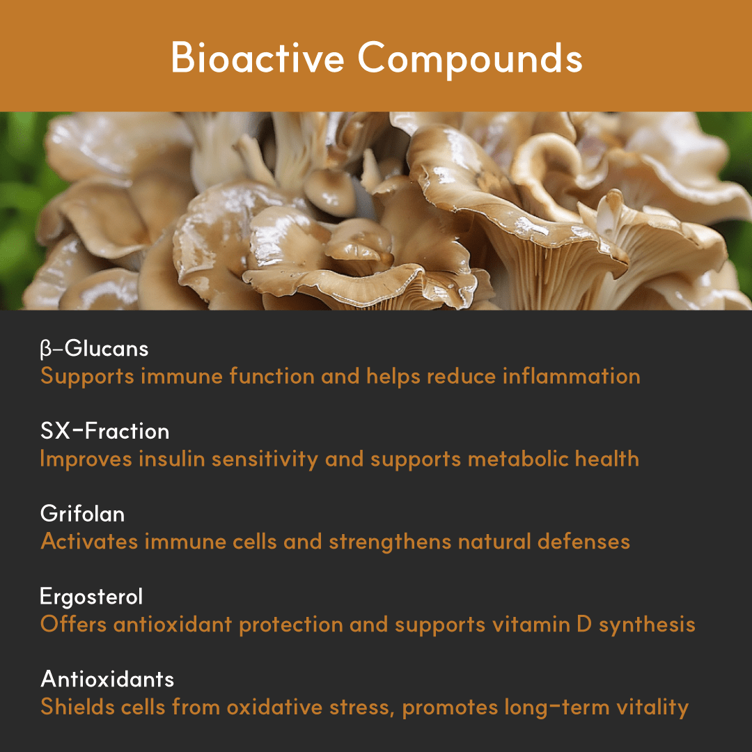 List of Maitake’s bioactive compounds: beta-glucans, SX-fraction, grifolan, ergosterol, and antioxidants with their health effects