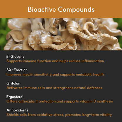 List of Maitake’s bioactive compounds: beta-glucans, SX-fraction, grifolan, ergosterol, and antioxidants with their health effects