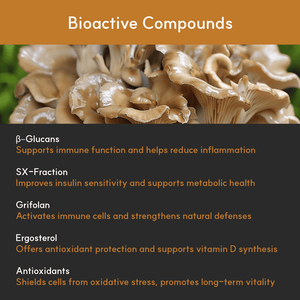 List of Maitake’s bioactive compounds: beta-glucans, SX-fraction, grifolan, ergosterol, and antioxidants with their health effects