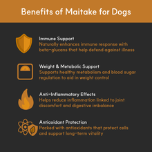 Load image into Gallery viewer, Infographic showing benefits of Maitake for dogs: immune support, metabolic balance, anti-inflammatory effects, and antioxidant protection