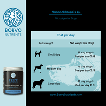 Laden Sie das Bild in den Galerie-Viewer, Nannochloropsis Microalgae for Dogs | Borvo Nutrients - Seaweed For Dogs