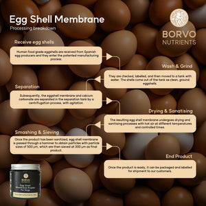 Natural Eggshell Membrane for Dogs | Borvo Nutrients - Seaweed For Dogs