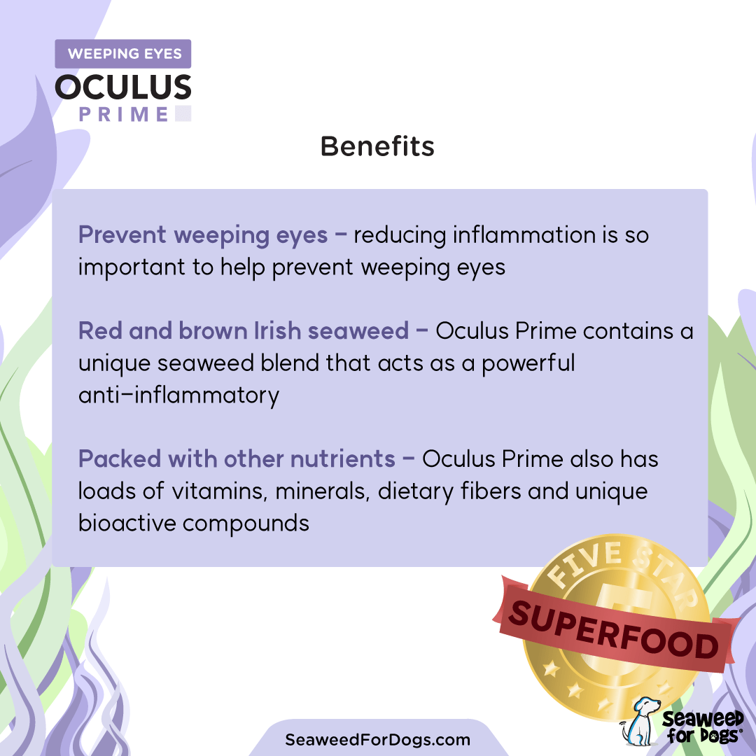 Oculus Prime | Natural Tear Stain Remover For Dogs - Seaweed For Dogs