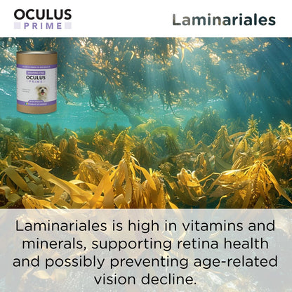 Oculus Prime | Natural Tear Stain Remover For Dogs - Seaweed For Dogs