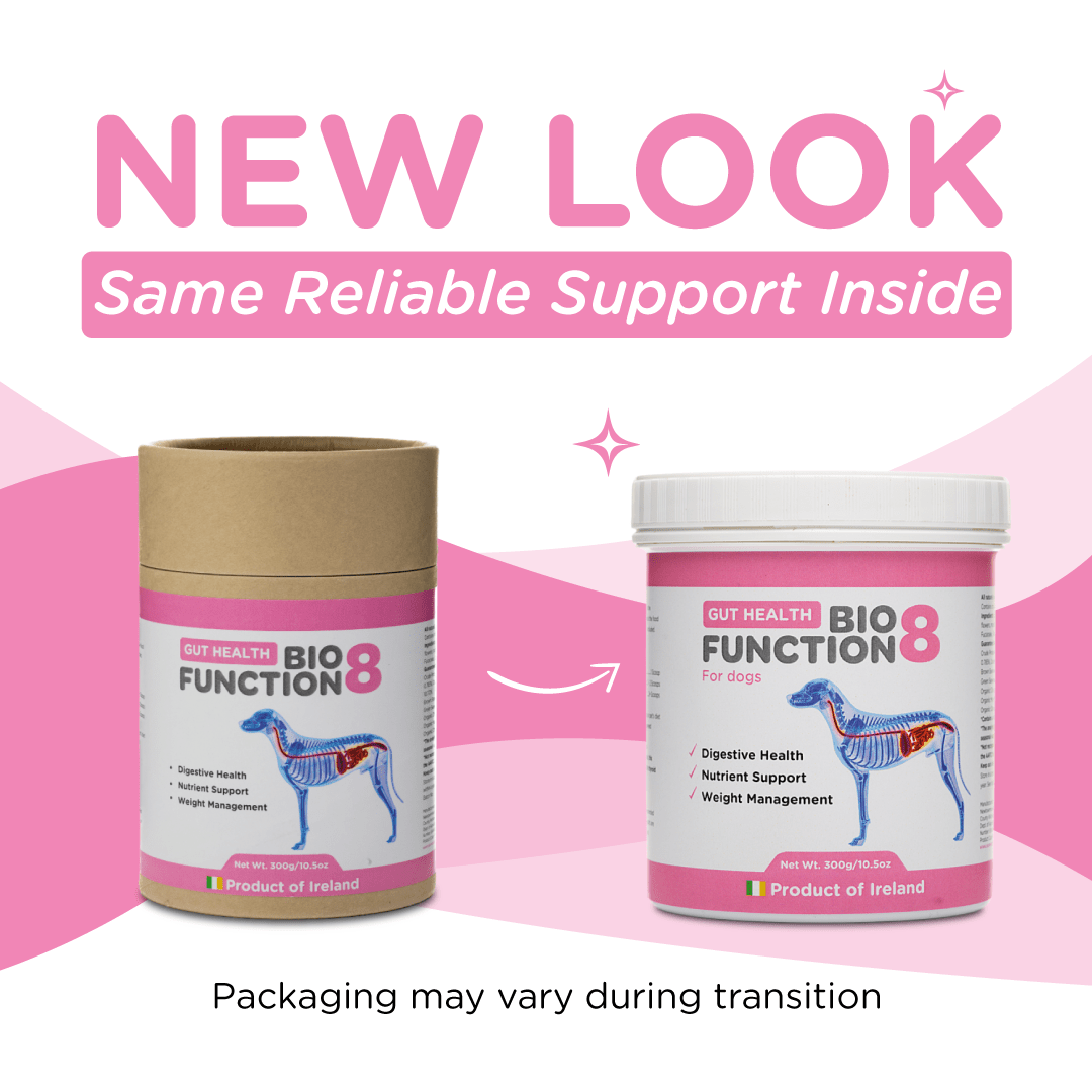 BioFunction8 | Promote Dogs' Gut Health Naturally - Seaweed For Dogs