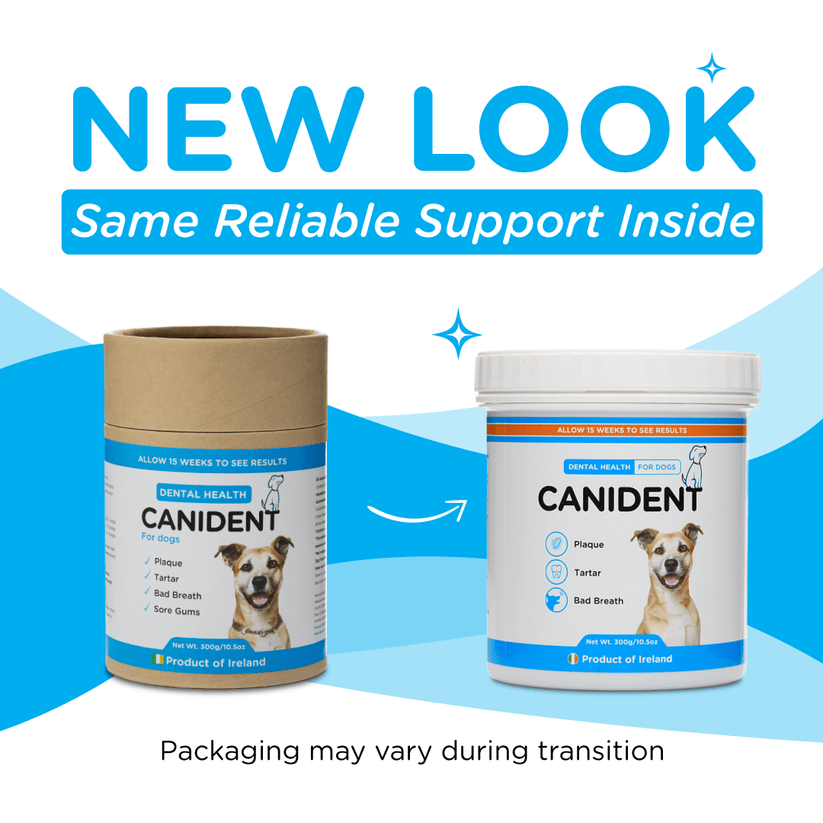 Canident Dog Dental Powder – Natural Seaweed Plaque Remover for Dogs ...