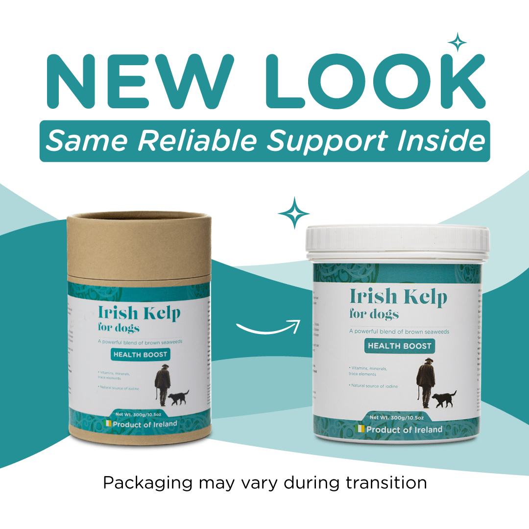 Irish Kelp for Pets | Blend of three Kelp for Dogs from Ireland - Seaweed For Dogs