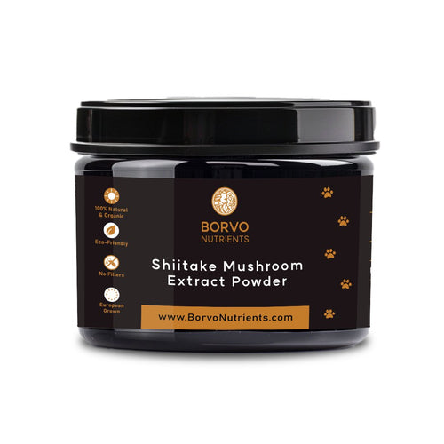 Shiitake Mushroom Extract Powder for Dogs - Ultrasound Assisted Extraction for Enhanced Potency - Seaweed For Dogs