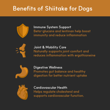 Load image into Gallery viewer, Infographic listing benefits of Shiitake for dogs: immune support, joint care, digestive health, and cardiovascular support