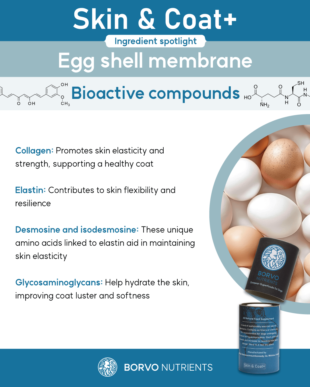 Skin Coat Improve your dogs skin and coat condition