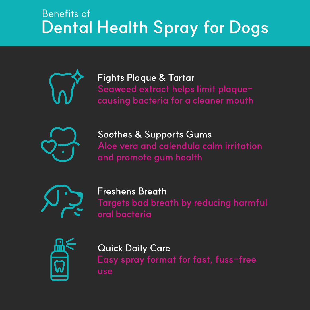 Dental Health Spray for Dogs - Seaweed For Dogs