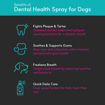 Dental Health Spray for Dogs - Seaweed For Dogs