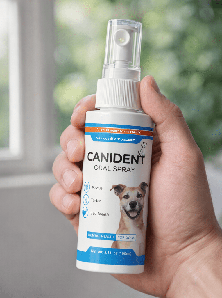 Canident Oral Spray | Dental Health For Dogs - Seaweed For Dogs