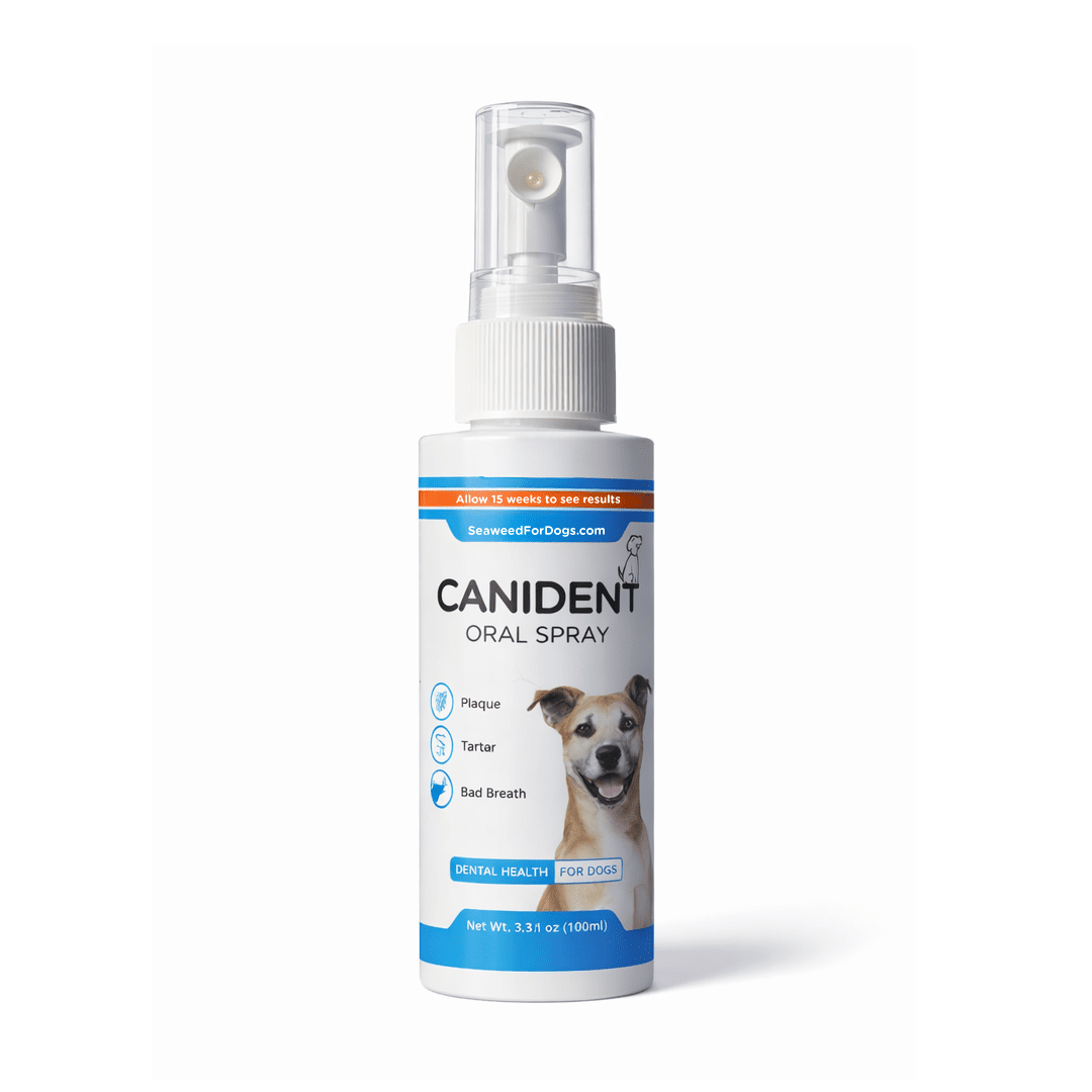 Canident Oral Spray | Dental Health For Dogs - Seaweed For Dogs