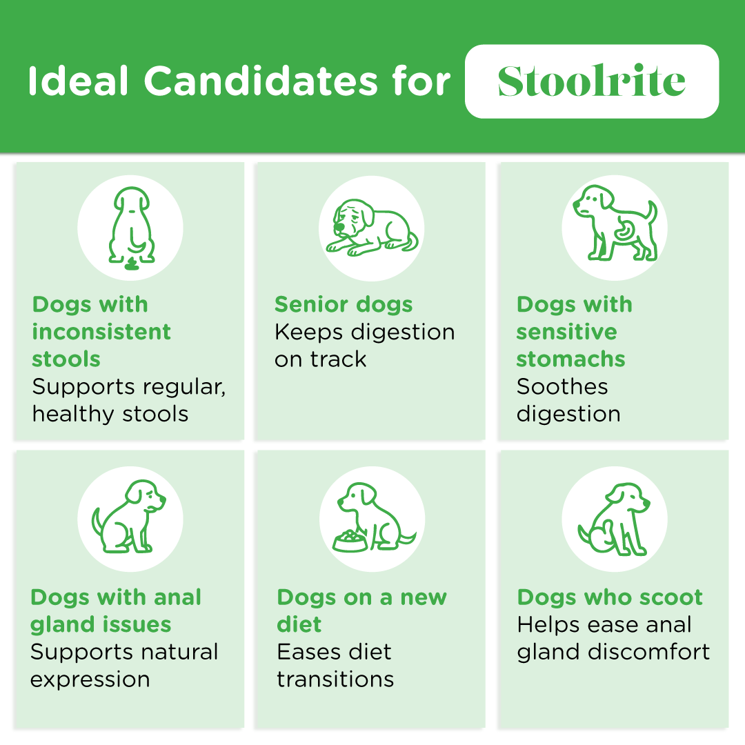 Infographic showing ideal candidates for Stoolrite: dogs with stool issues, seniors, sensitive stomachs, anal gland problems, new diets, or scooting