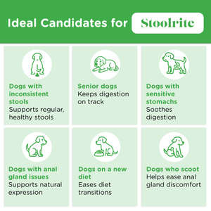 Infographic showing ideal candidates for Stoolrite: dogs with stool issues, seniors, sensitive stomachs, anal gland problems, new diets, or scooting
