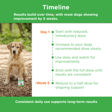 Load image into Gallery viewer, Timeline showing most dogs improve within 5 weeks of daily Stoolrite use, starting with a reduced dose and gradually increasing